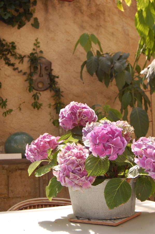 Bed and Breakfast Madeleine Bergerac Exterior foto